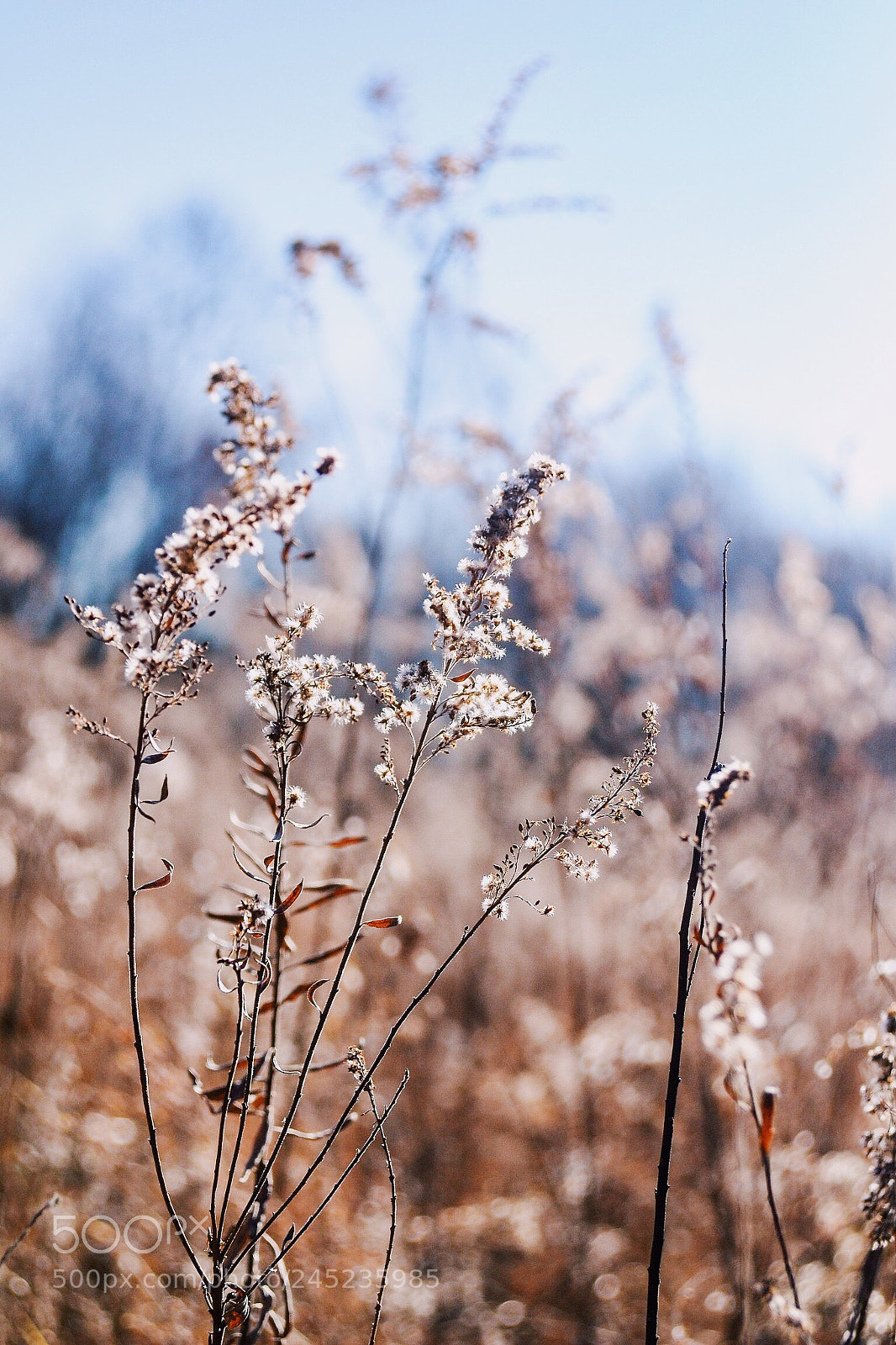 Nikon D3100 sample photo. Those crisp nature vibes photography