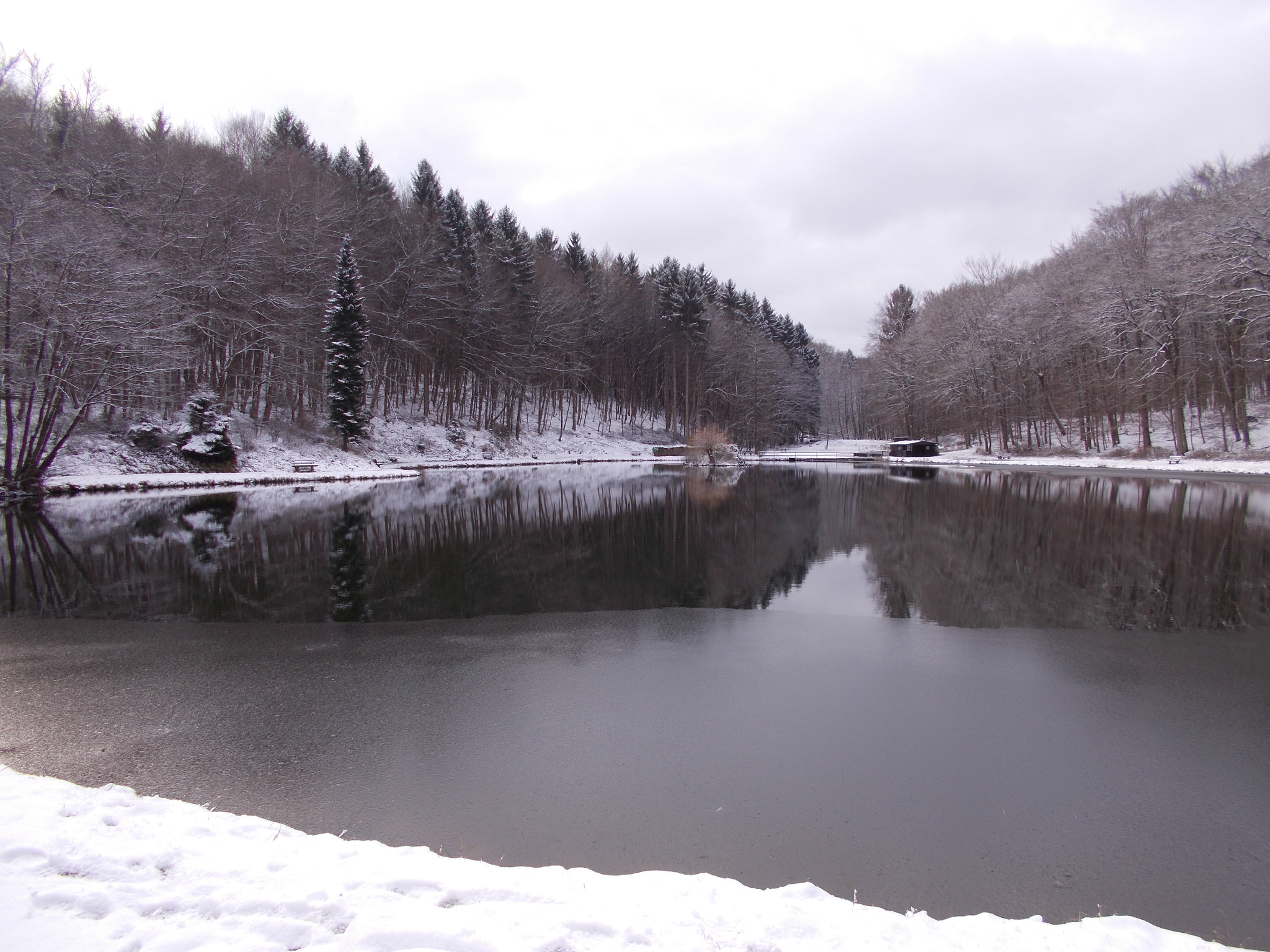 Nikon Coolpix A10 sample photo. The lake in the forest photography