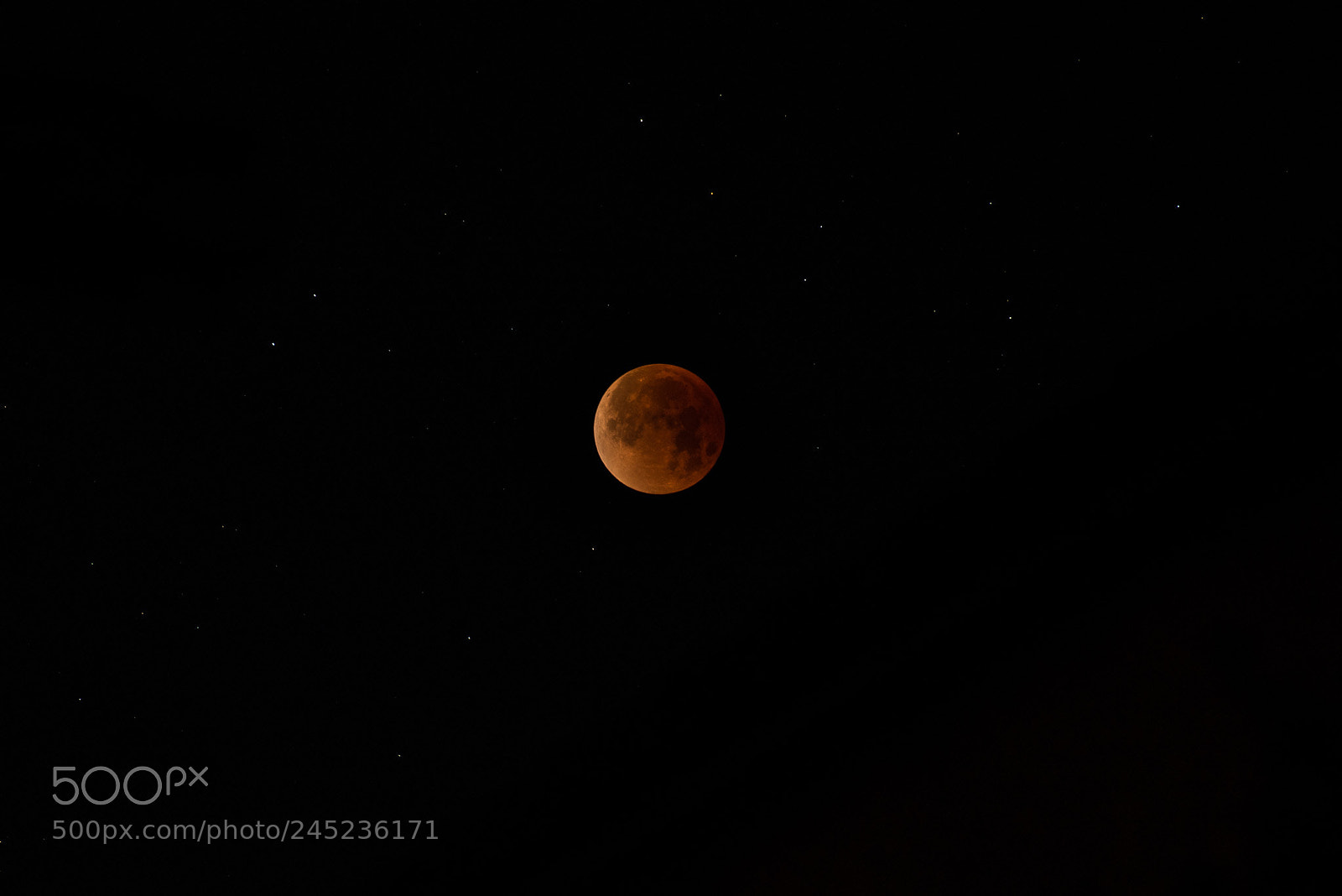Nikon D600 sample photo. Super blue blood moon 2018 photography
