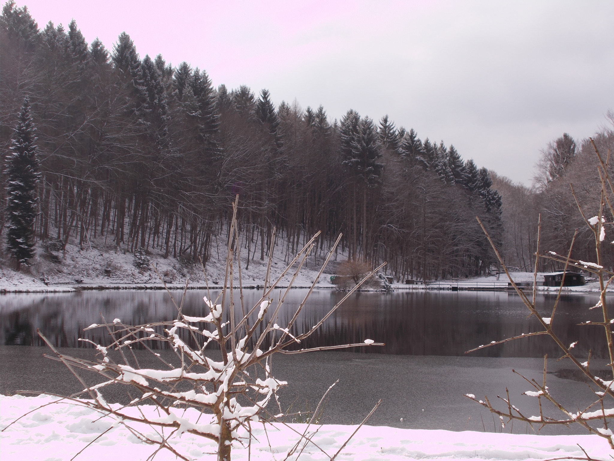 Nikon Coolpix A10 sample photo. Snowy branches photography