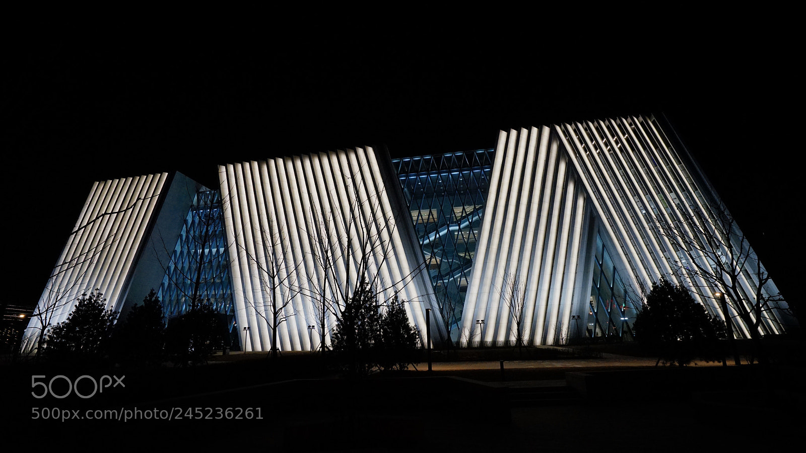 Sony a7 II sample photo. 太原市图书馆 photography