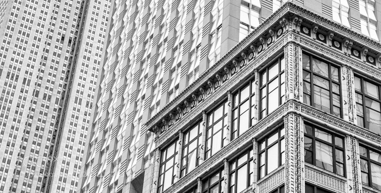 Nikon D810 sample photo. New york city photography