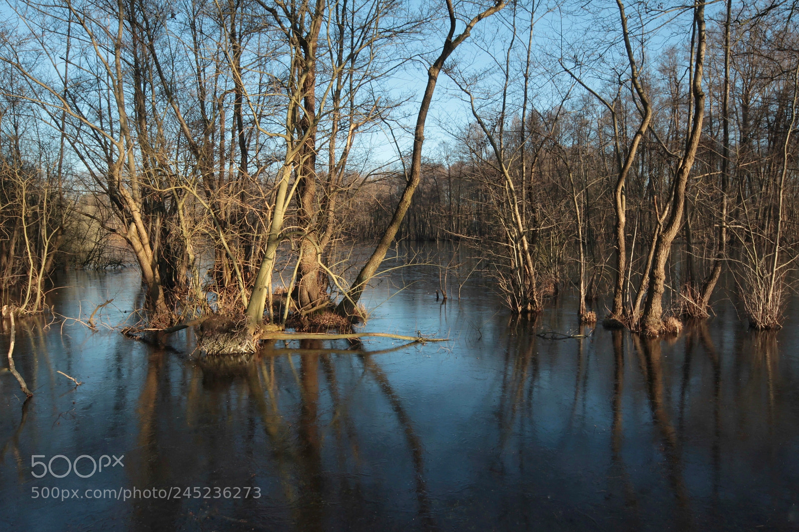 Canon EOS-1D Mark IV sample photo. Untitled photography