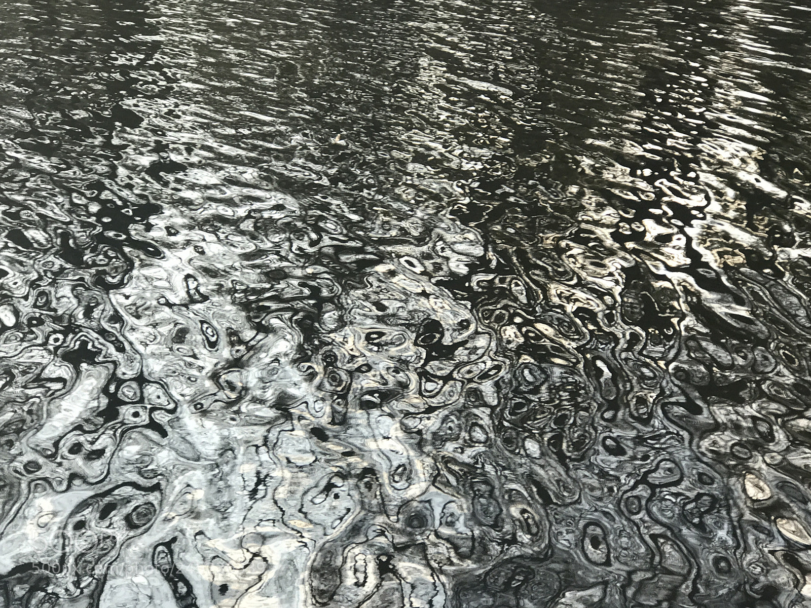 Apple iPhone 7 Plus sample photo. Einzelne b ume im photography