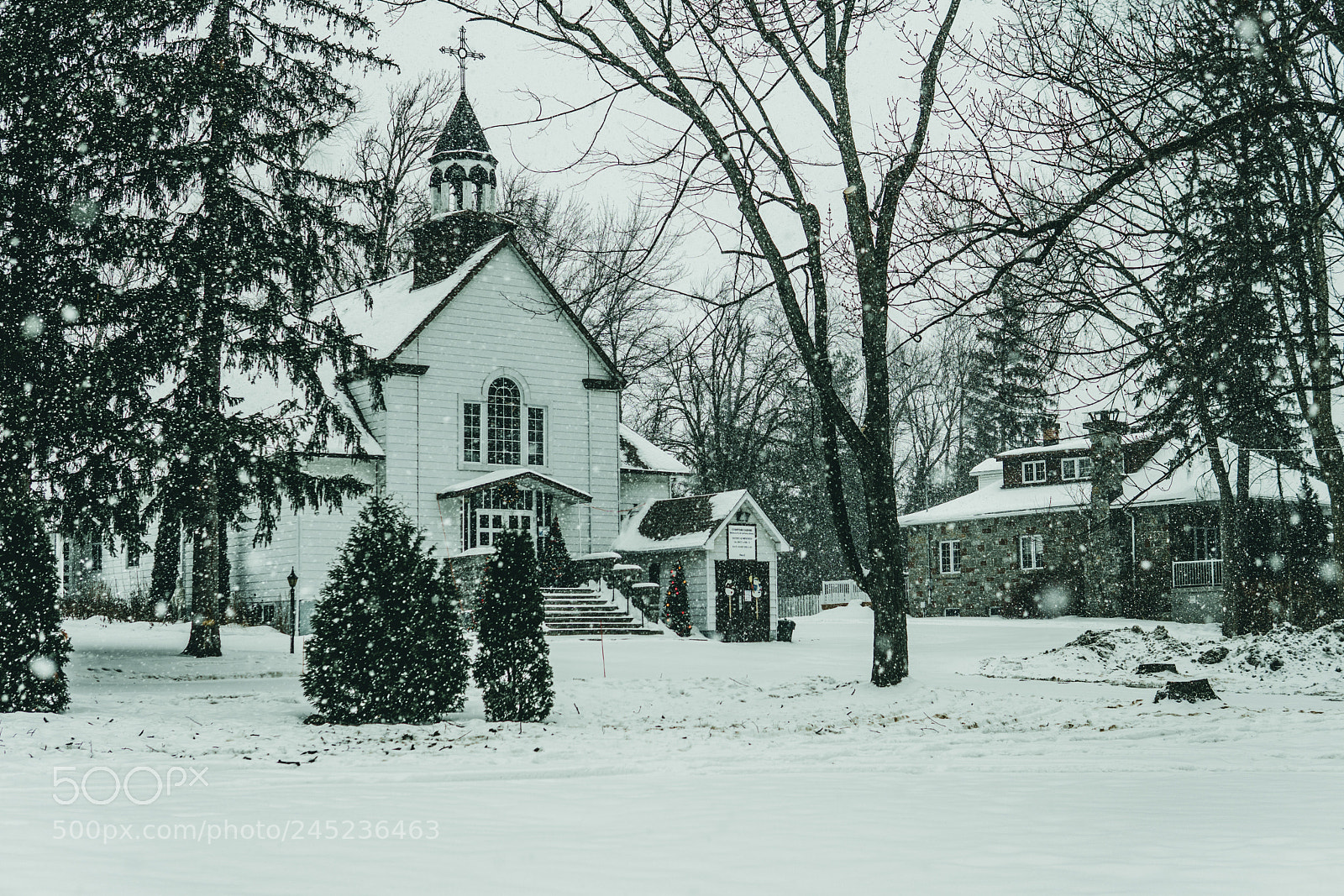 Sony a6300 sample photo. Untitled photography