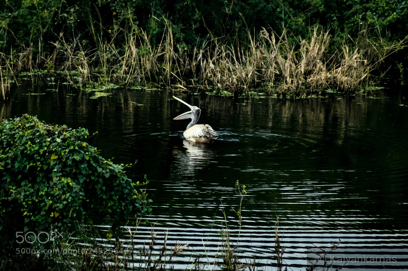 Nikon D3200 sample photo. Untitled photography