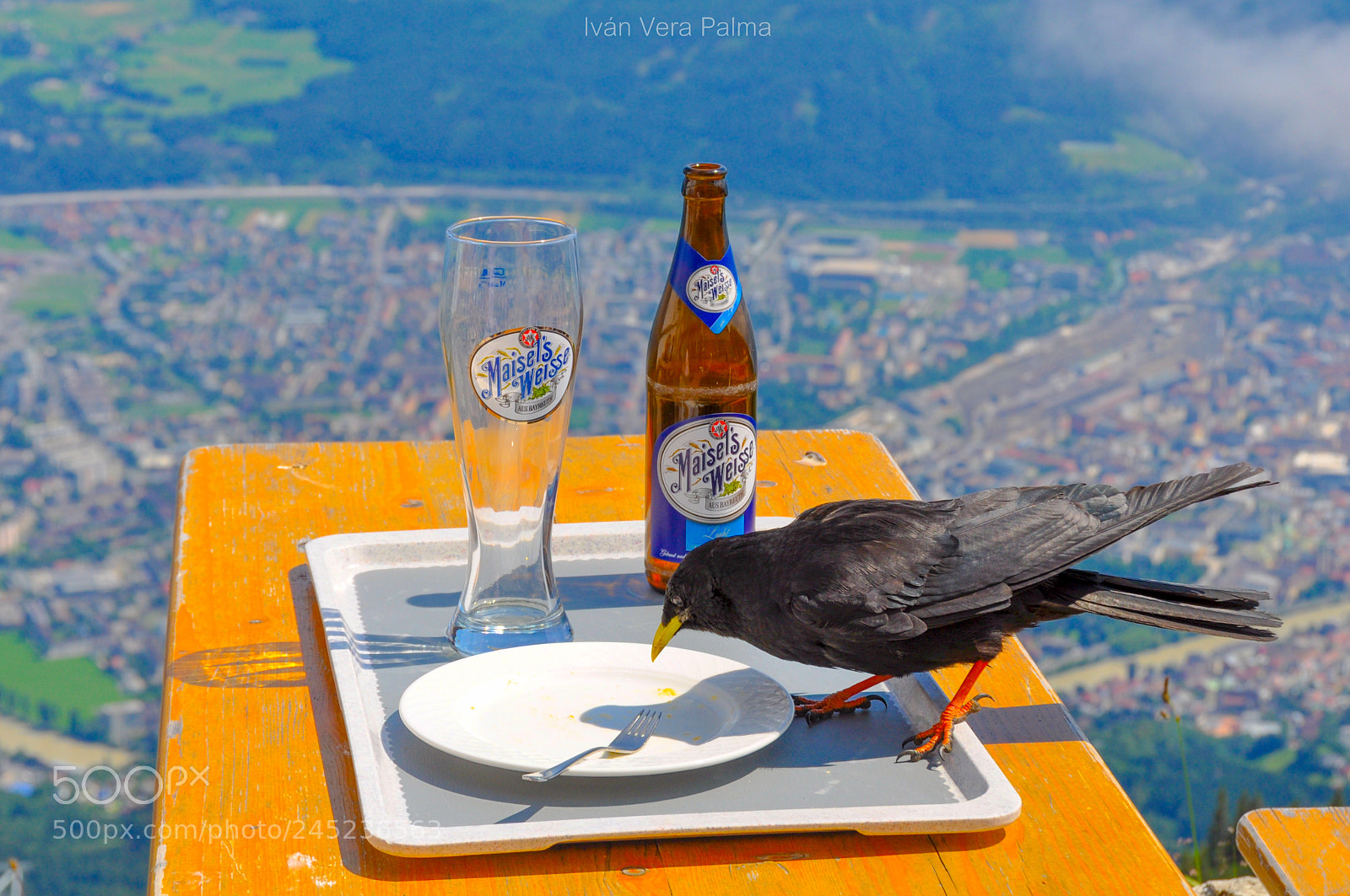 Nikon D90 sample photo. Das mittagessen photography