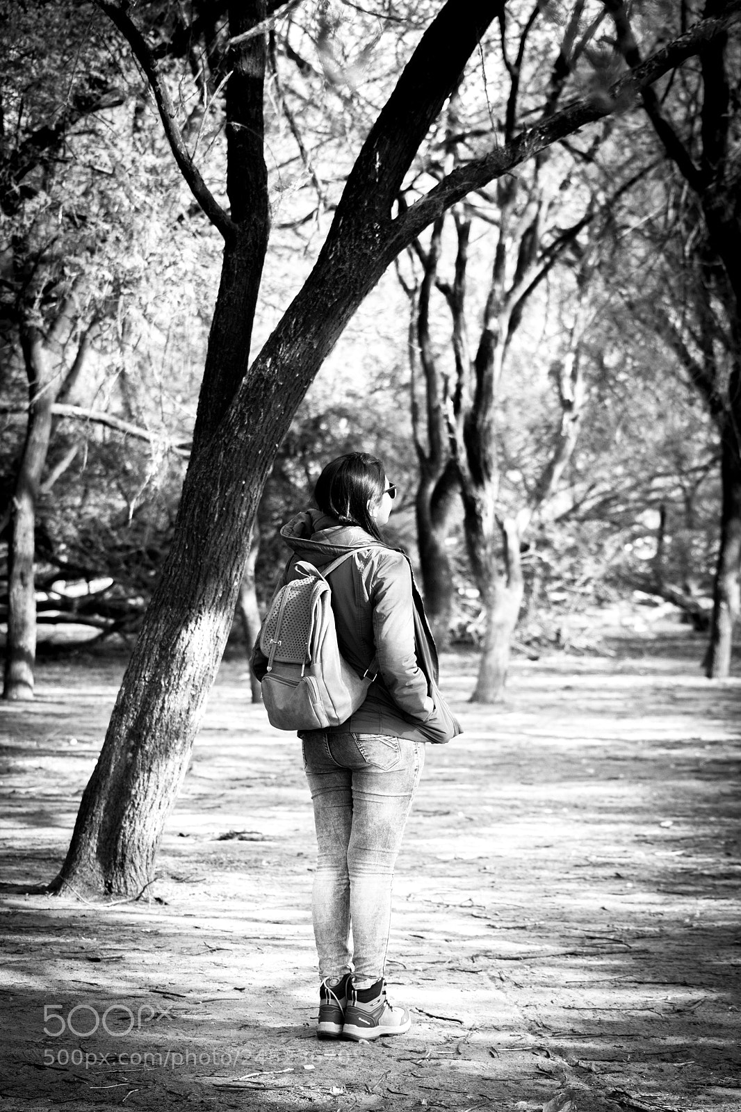 Canon EOS 750D (EOS Rebel T6i / EOS Kiss X8i) sample photo. The wanderer photography