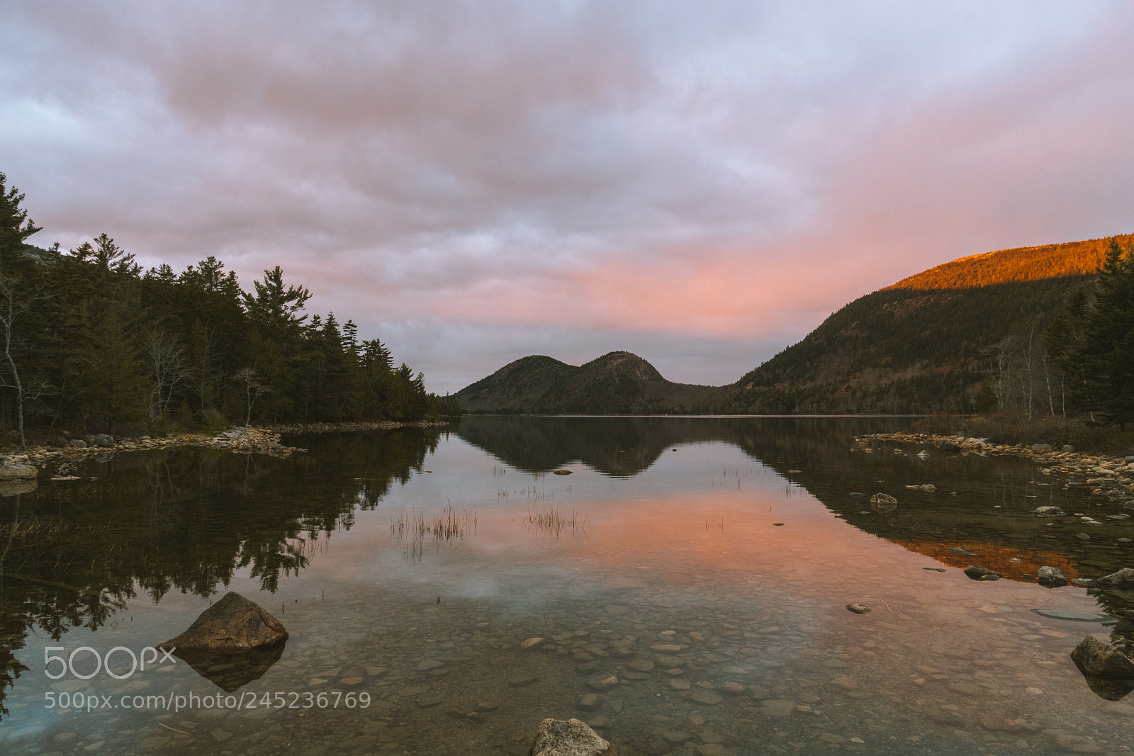Sony a7R II sample photo. Cotton candy skies above photography