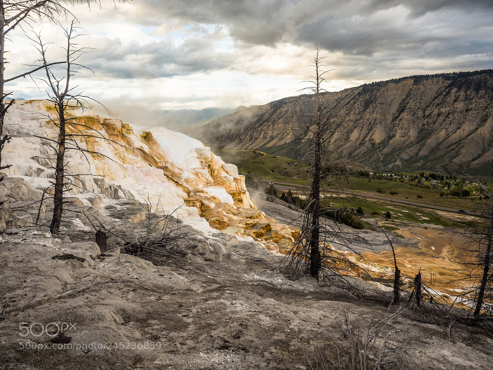 Olympus OM-D E-M5 II sample photo. Mammoth burnt hillside photography