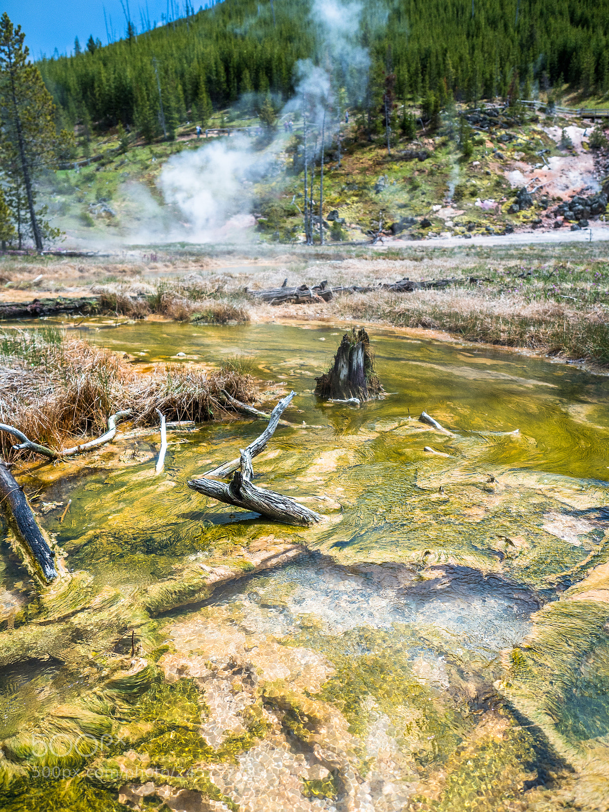 Olympus OM-D E-M5 II sample photo. Steam at artist's paintpot photography