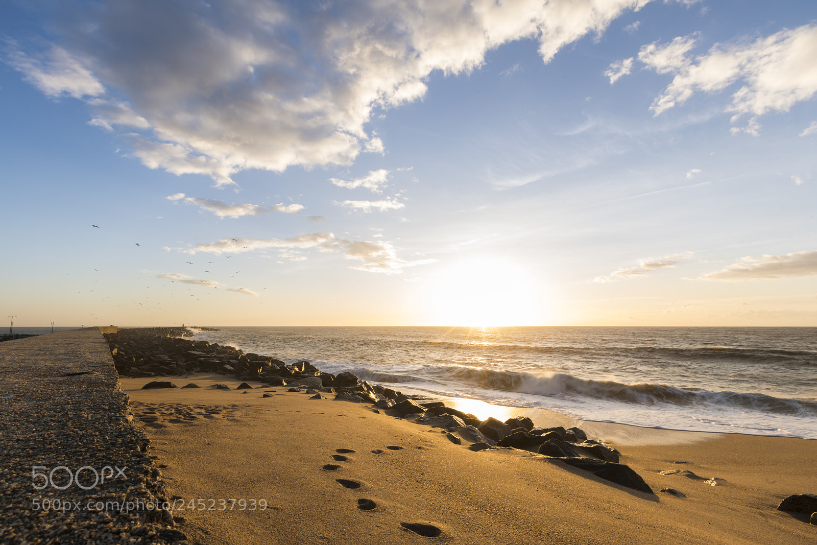 Sony a7R II sample photo. Untitled photography
