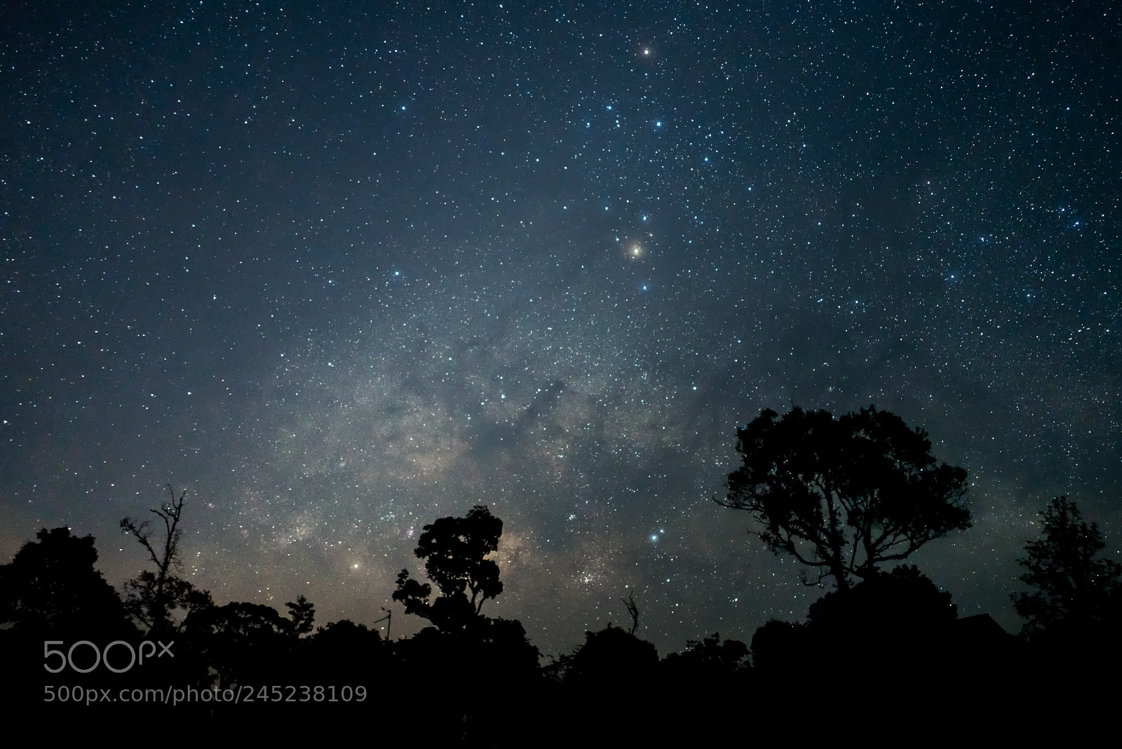 Sony a7R II sample photo. Milky way with silhouette photography