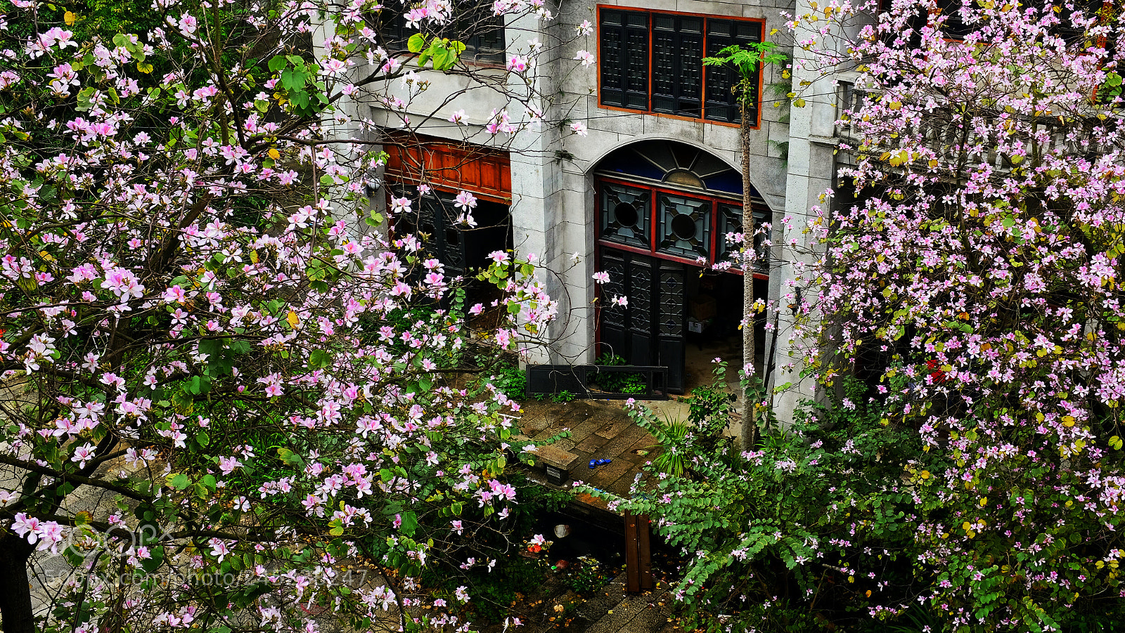 Fujifilm X100S sample photo. Spring photography