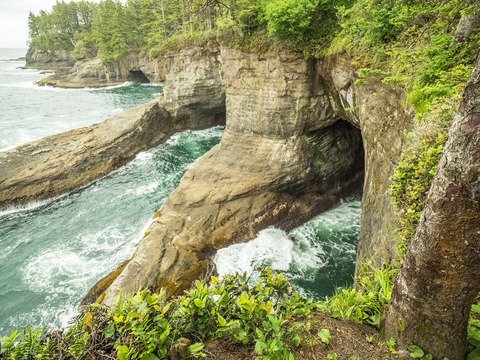 Olympus OM-D E-M5 II sample photo. Cape flattery on northern photography