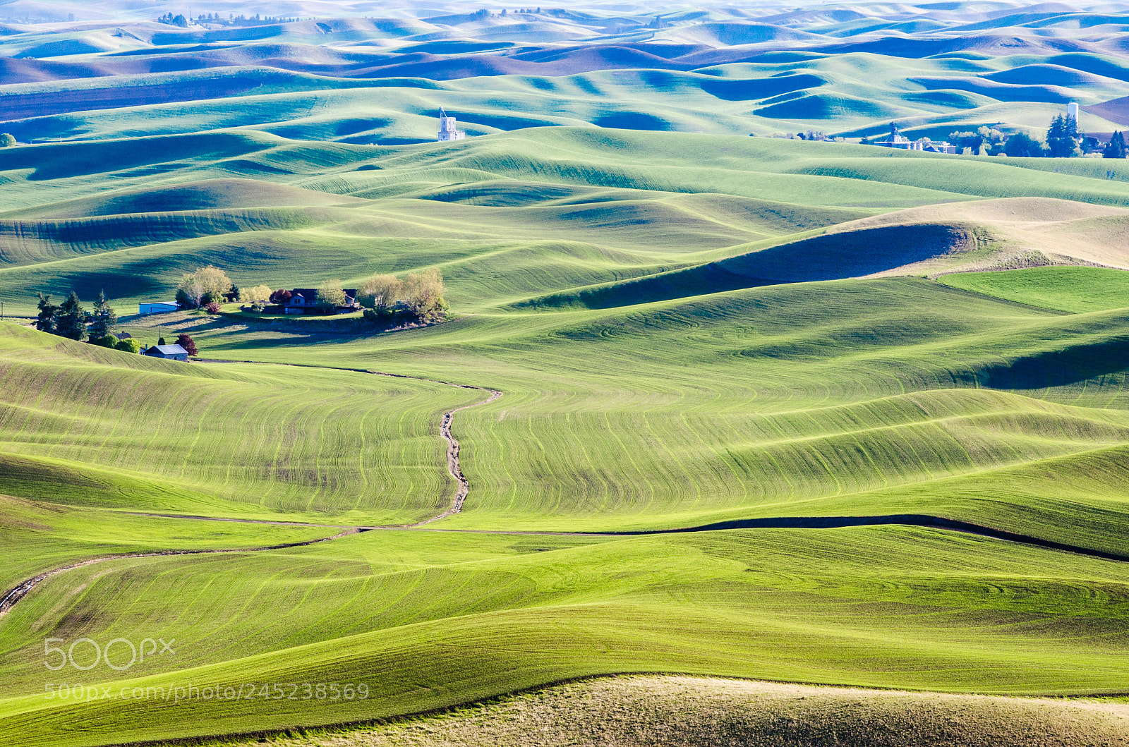 Nikon D5100 sample photo. Spring in the palouse photography