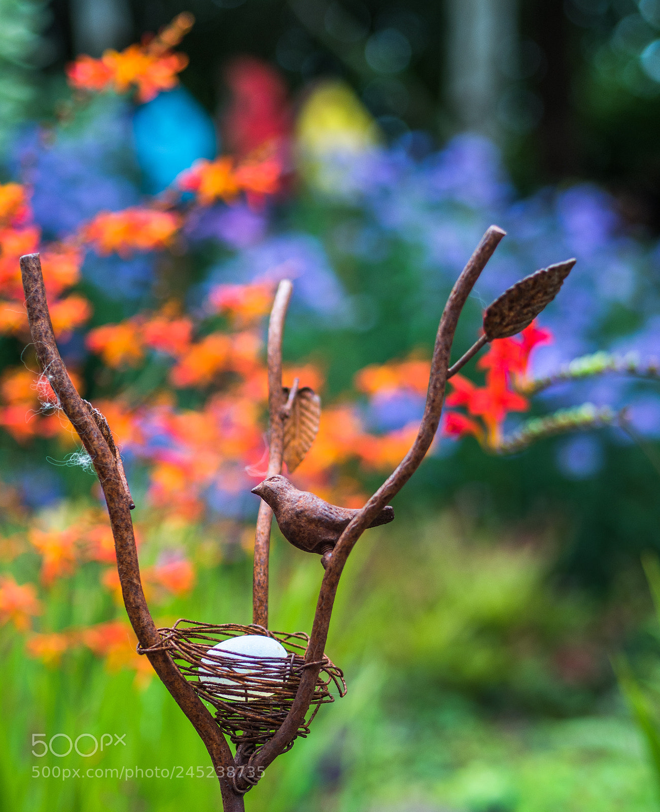 Olympus OM-D E-M5 II sample photo. Garden art with color photography