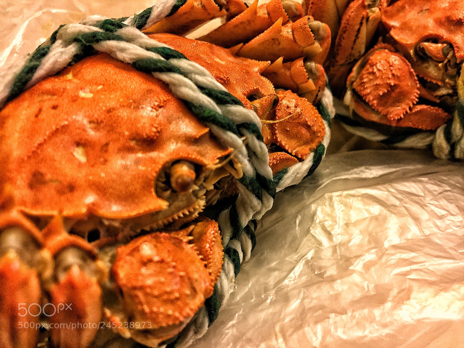 Apple iPhone 6 sample photo. Untitled photography