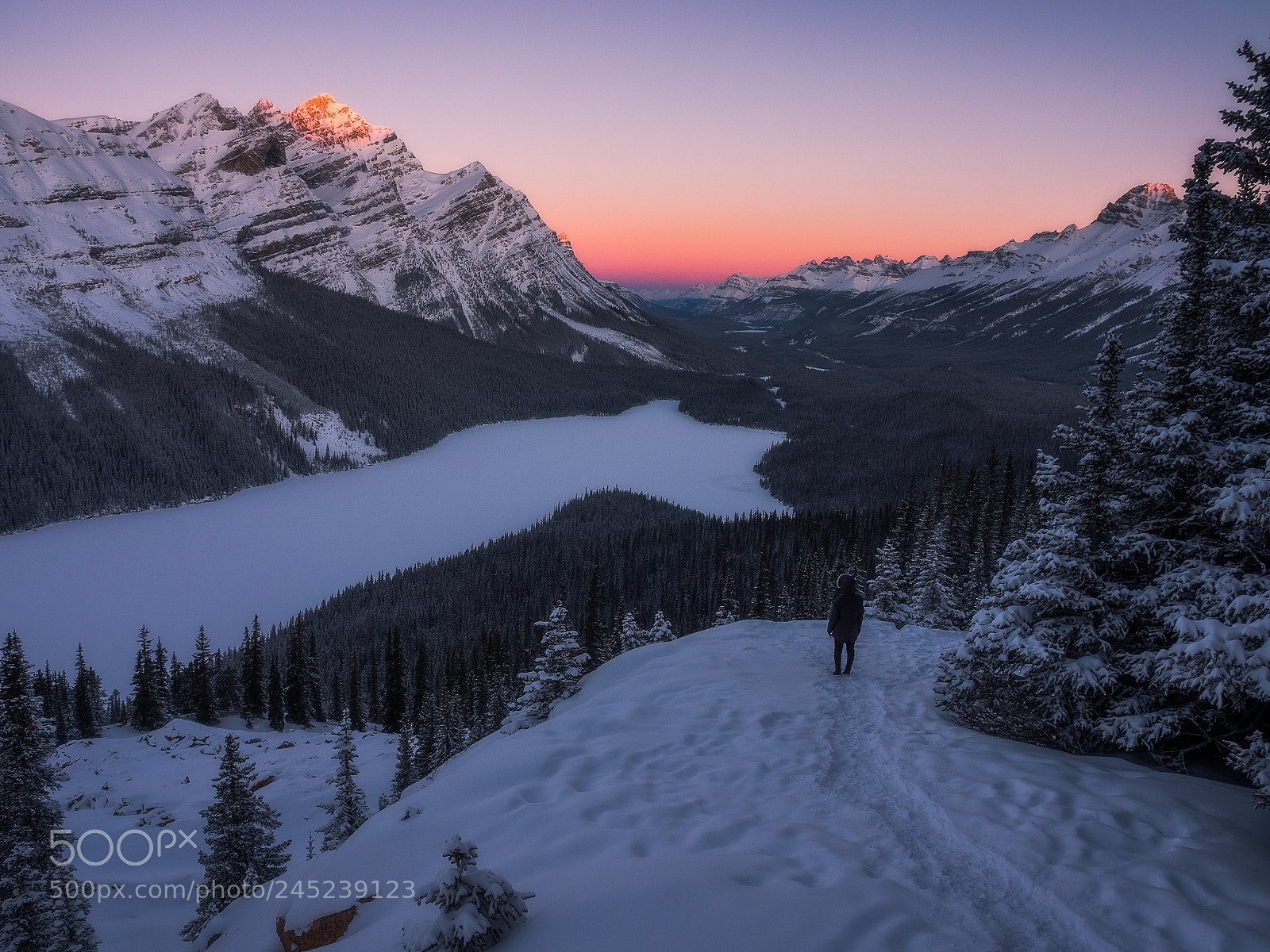 Panasonic Lumix DC-GH5 sample photo. First light at peyto photography