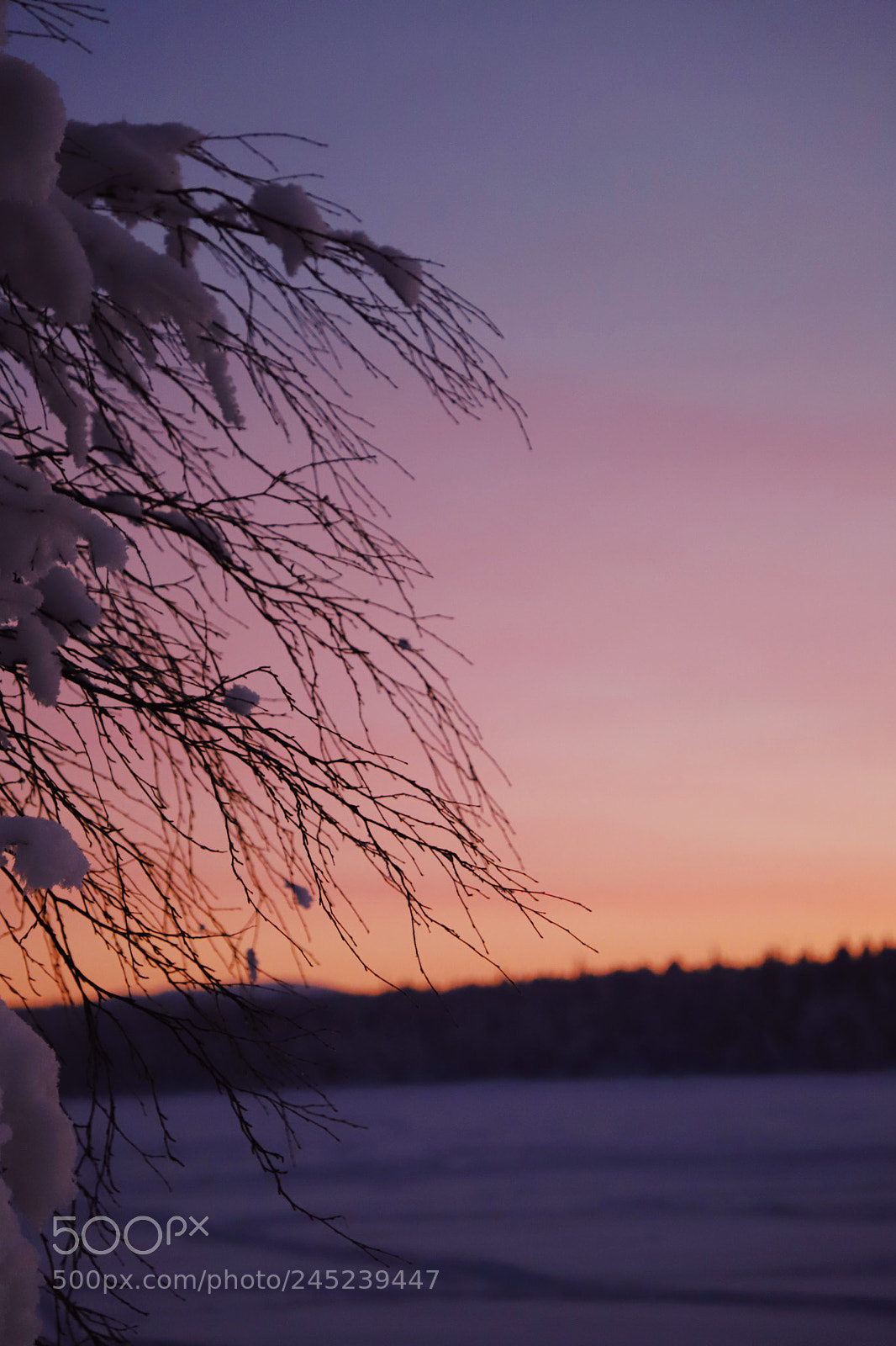 Canon EOS 6D Mark II sample photo. Untitled photography