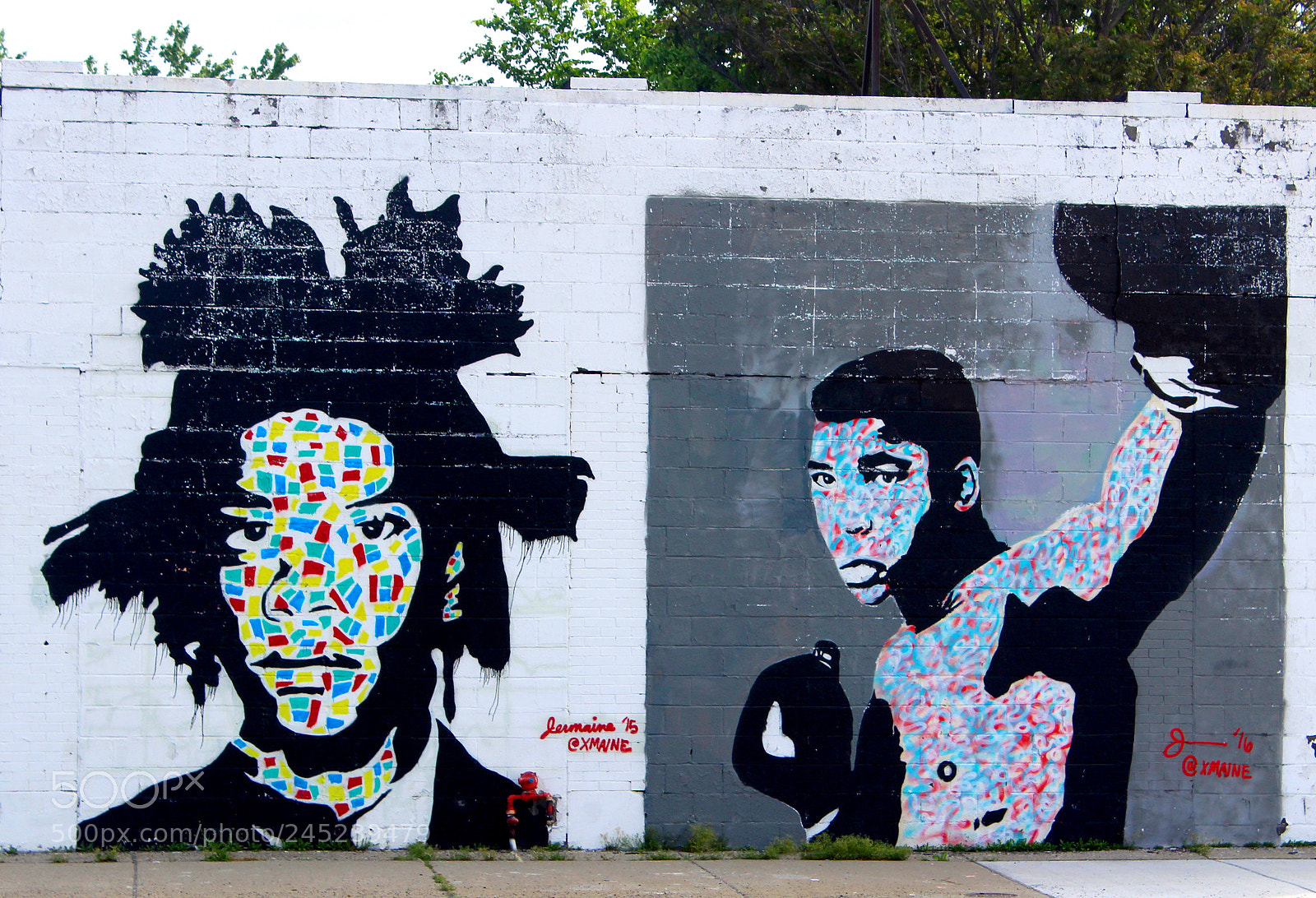 Canon EOS 1200D (EOS Rebel T5 / EOS Kiss X70 / EOS Hi) sample photo. Jean-michel basquiat cassius clay photography