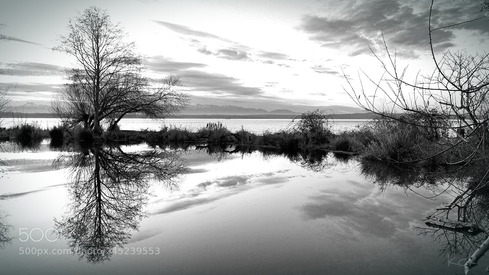 Olympus OM-D E-M10 II sample photo. Reflection. photography