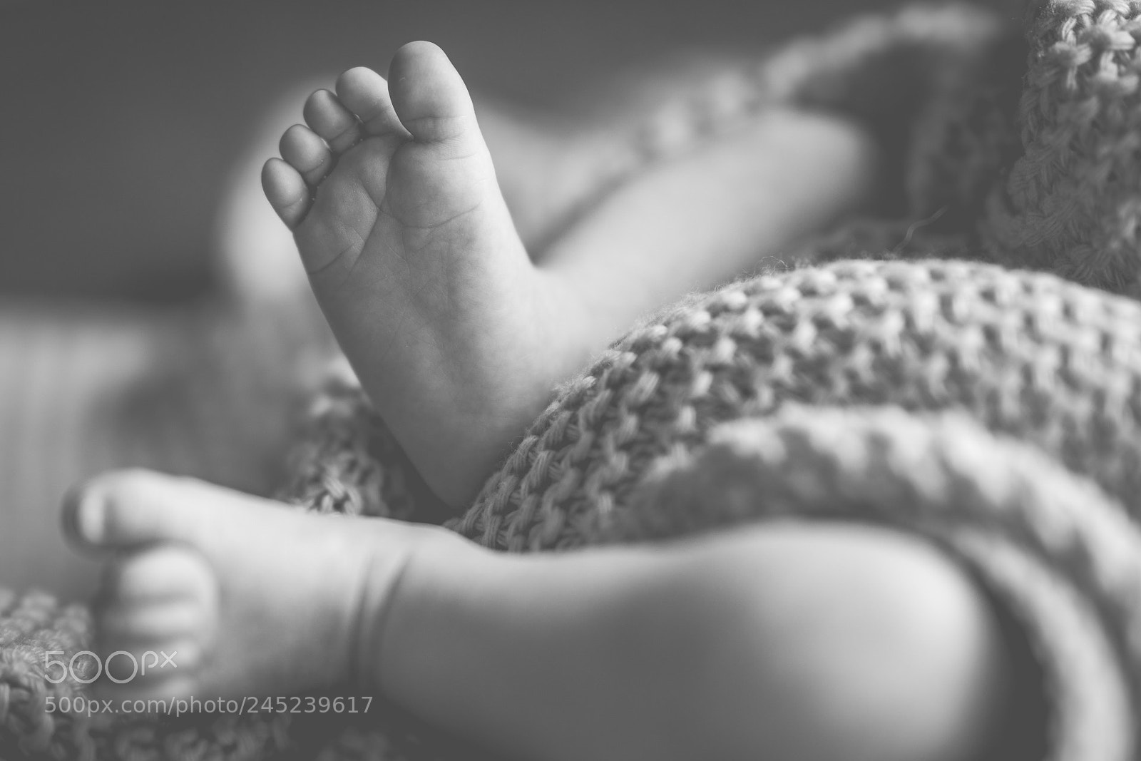 Sony a6500 sample photo. Oliver photography