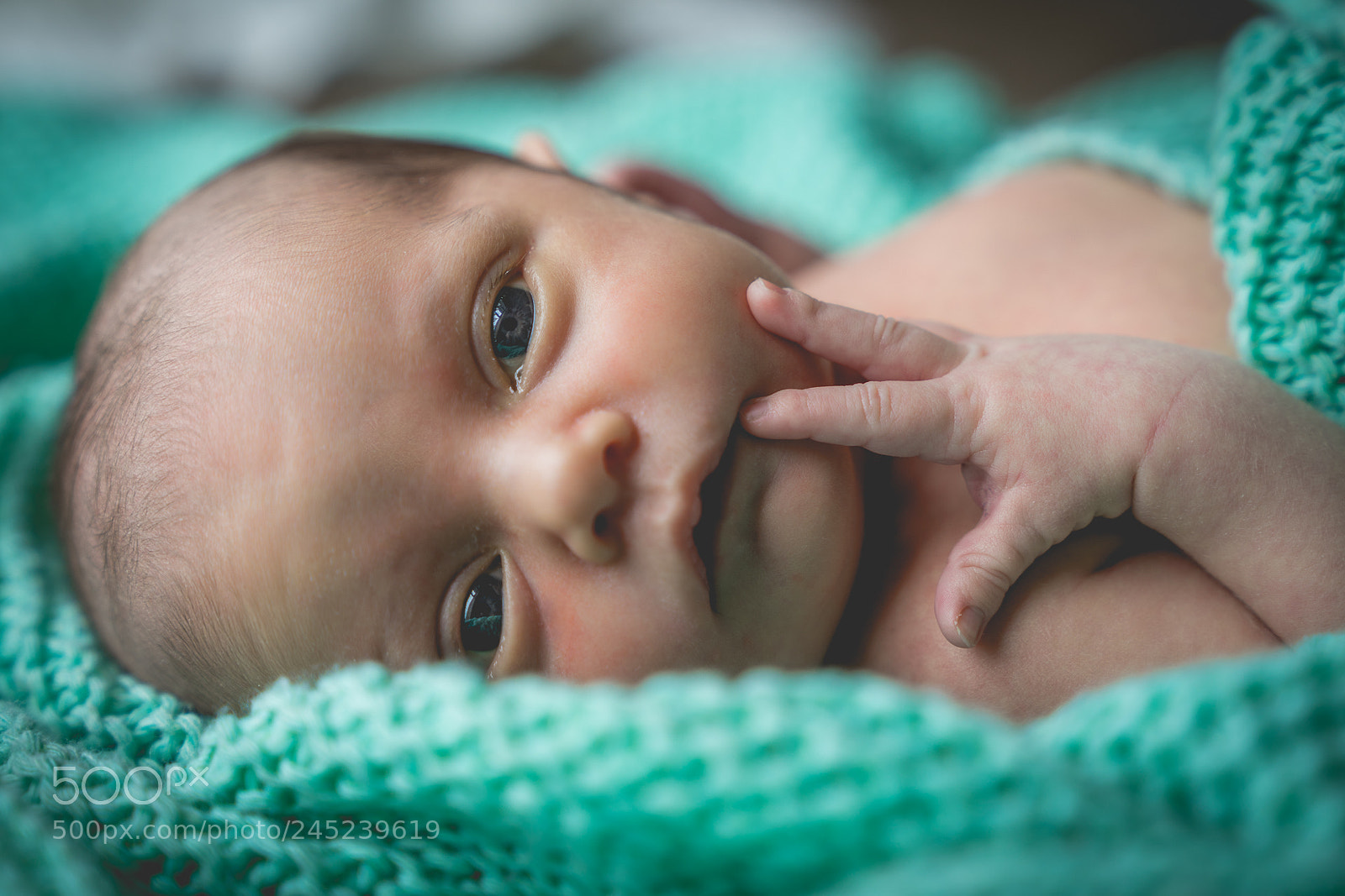 Sony a7 II sample photo. Oliver photography