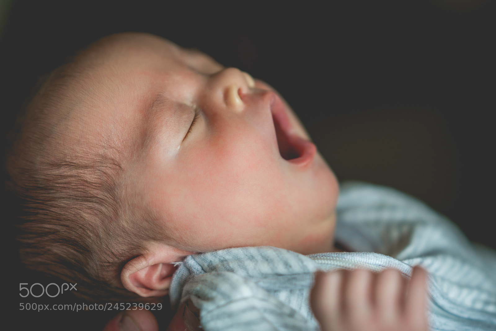 Sony a6500 sample photo. Oliver photography