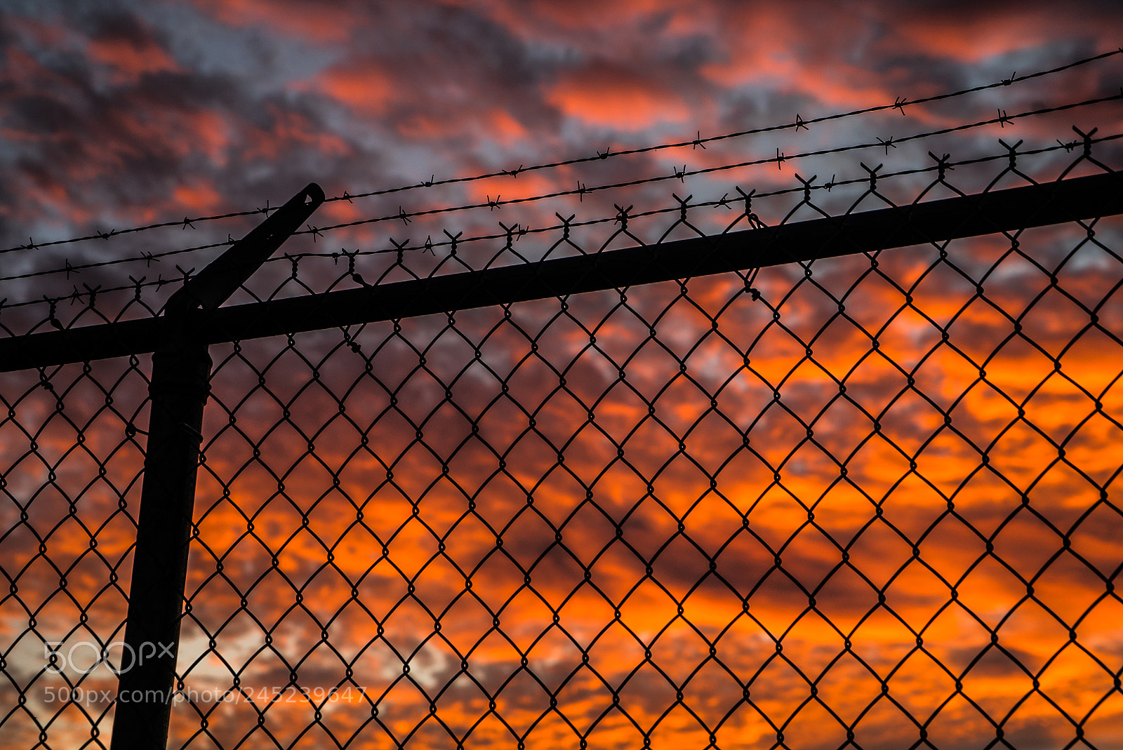 Sony a7S II sample photo. Prisoners photography
