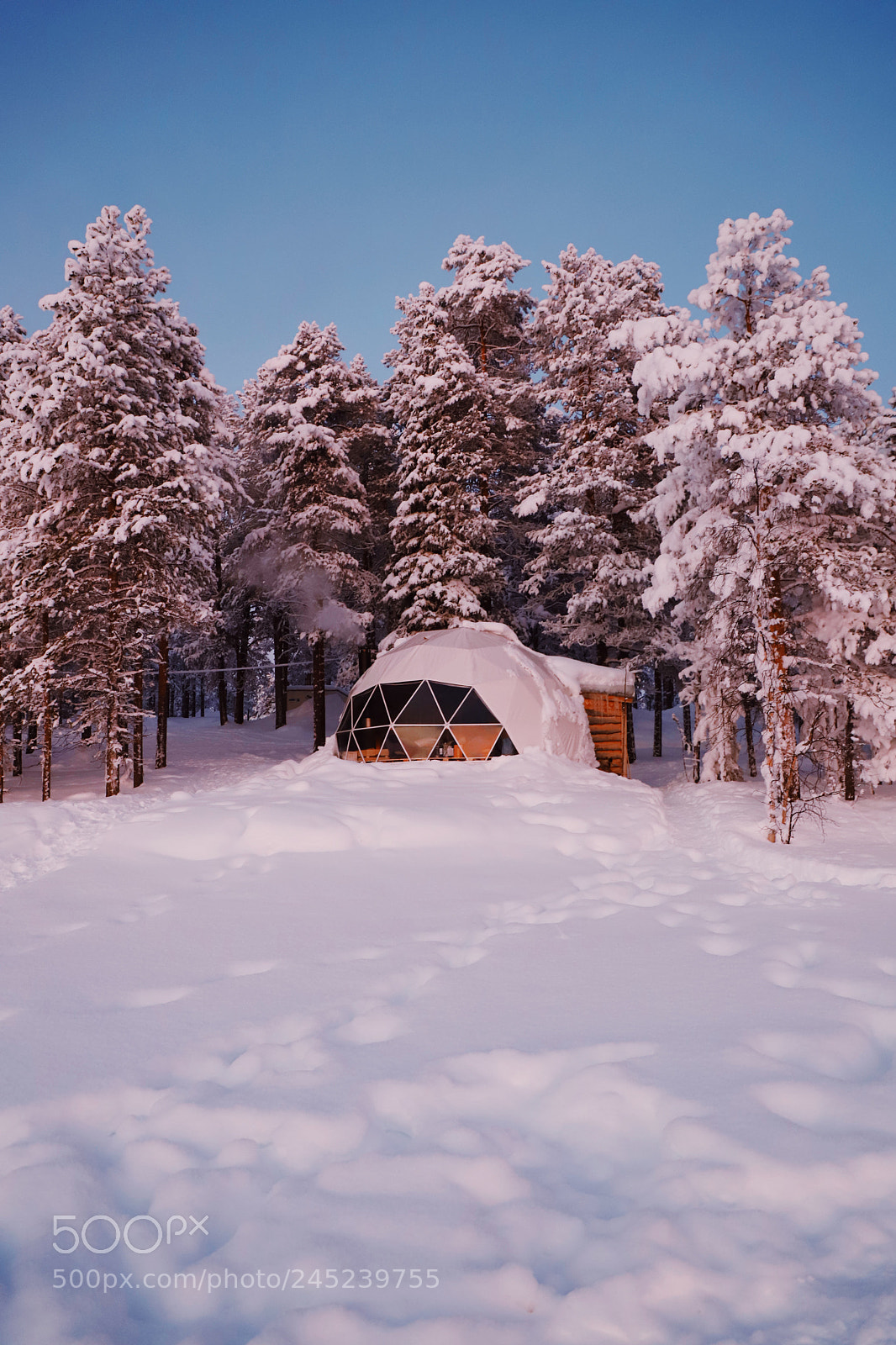 Canon EOS 6D Mark II sample photo. Northern light dome photography