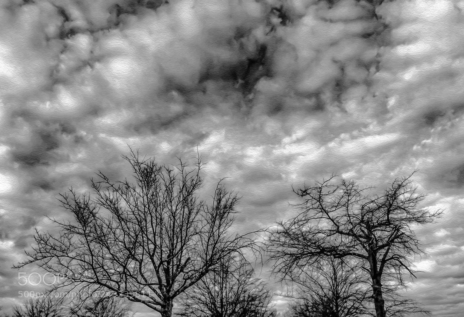 Panasonic Lumix DMC-FZ1000 sample photo. Overcast day photography