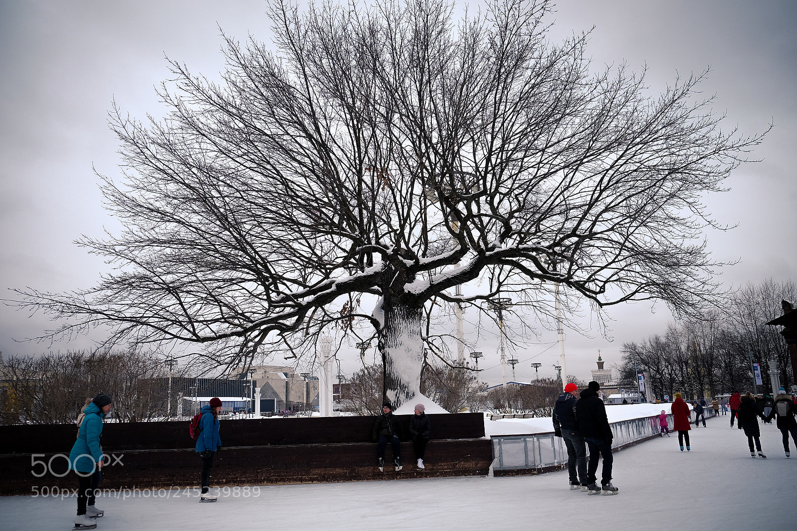 Fujifilm X-E2 sample photo. Xcvxthdsrrt photography