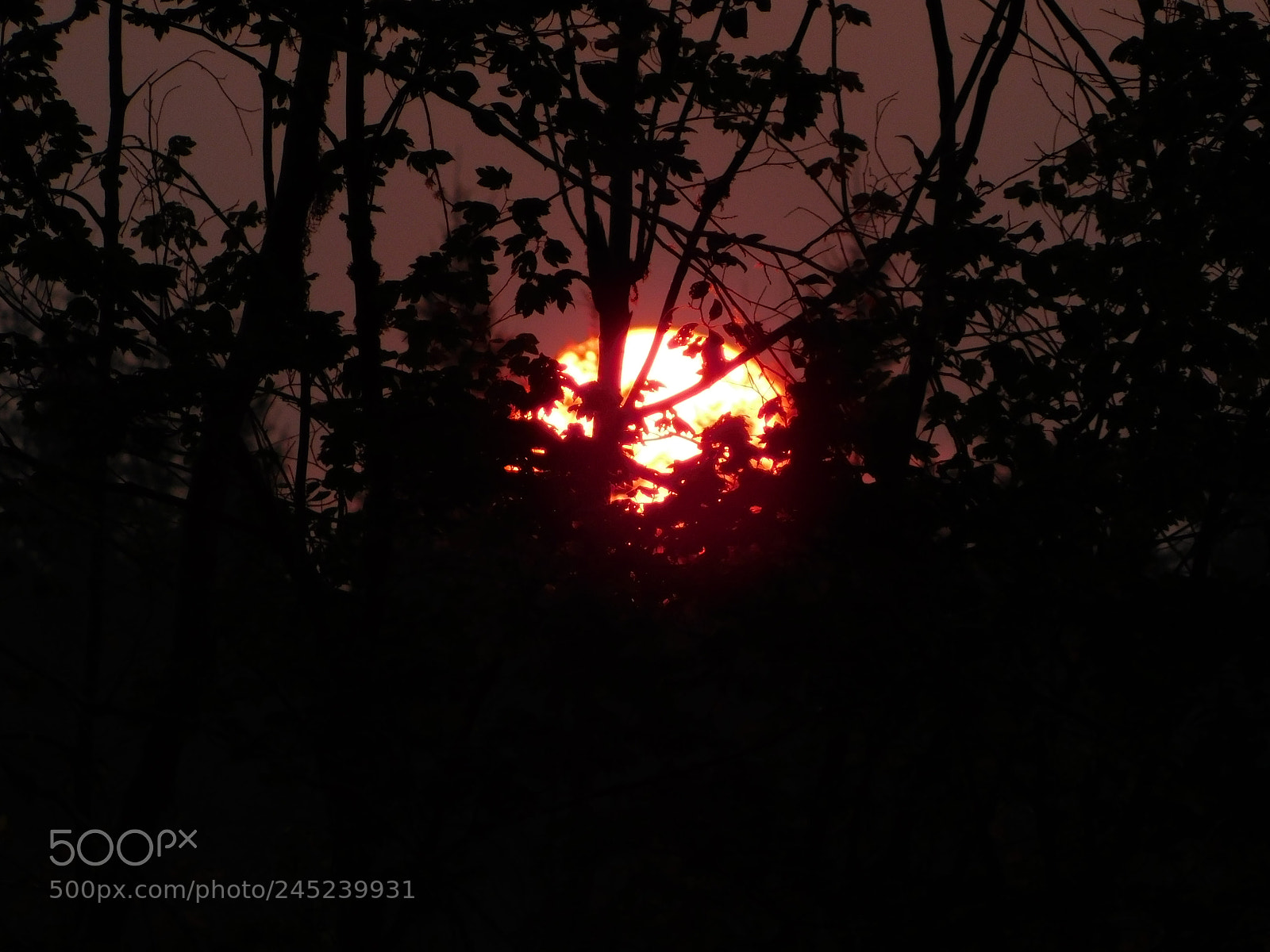 Nikon Coolpix B500 sample photo. Red sun photography