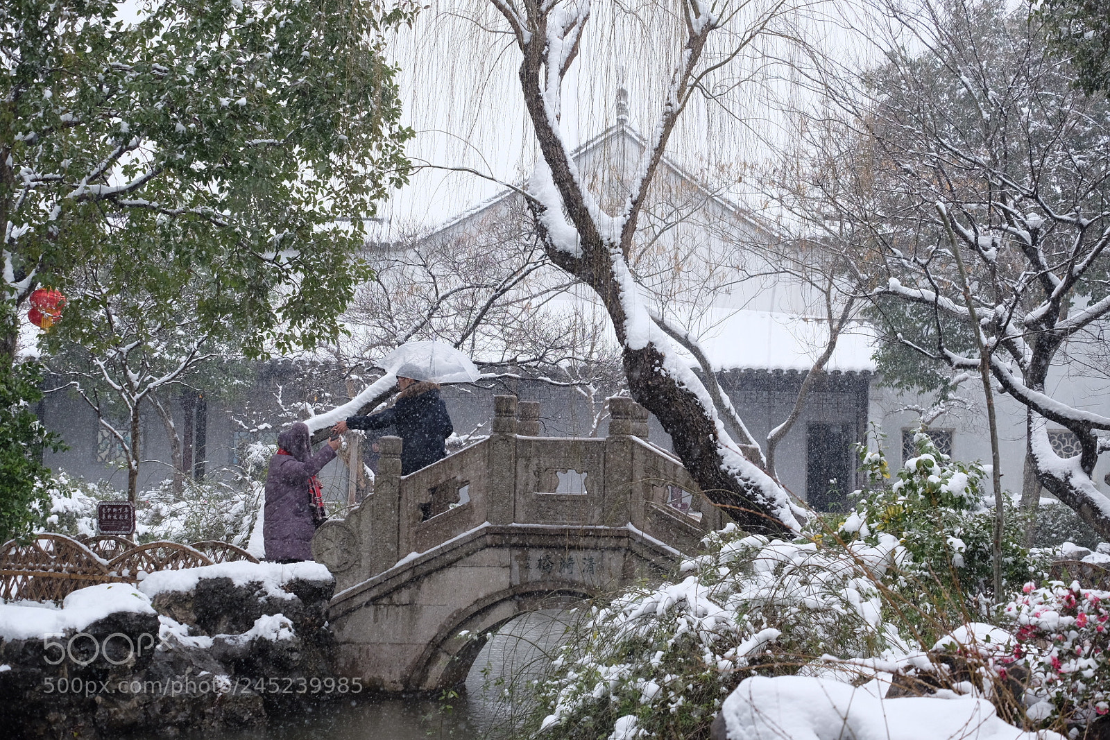 Fujifilm X-T10 sample photo. Untitled photography