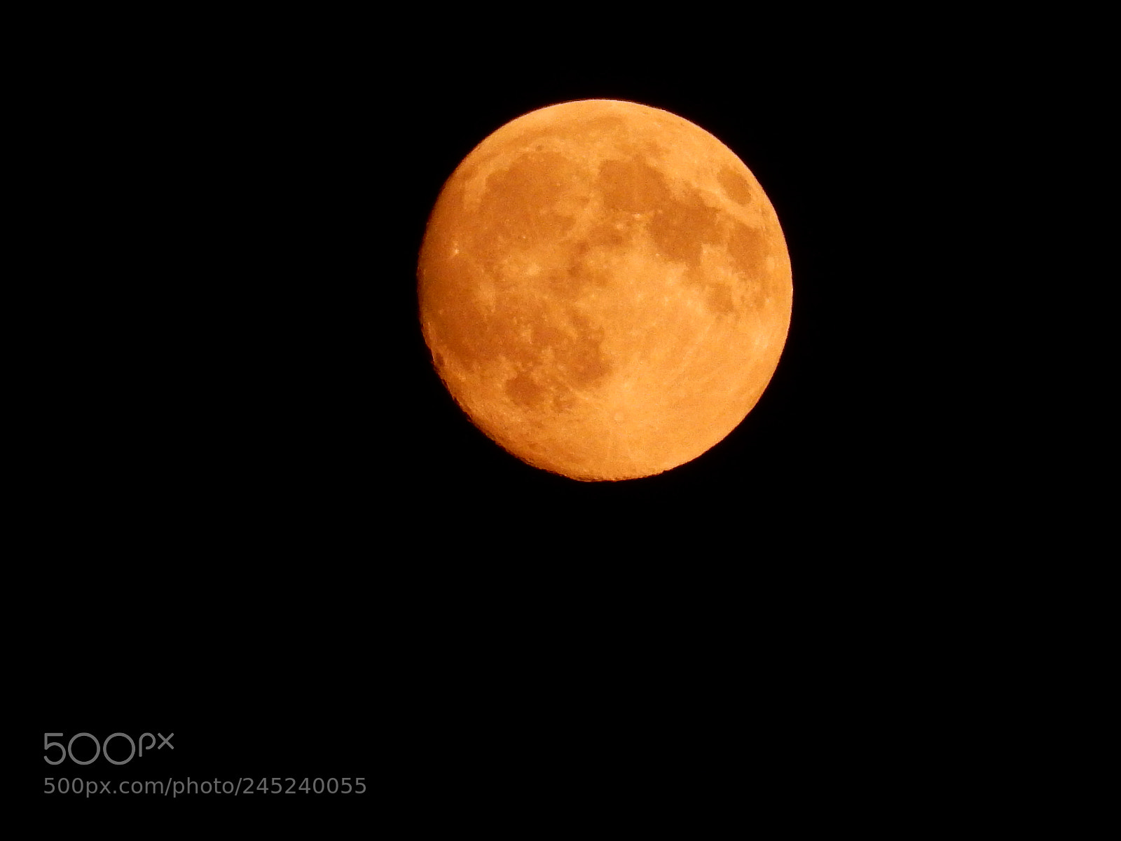 Nikon Coolpix S9900 sample photo. Orange moon photography