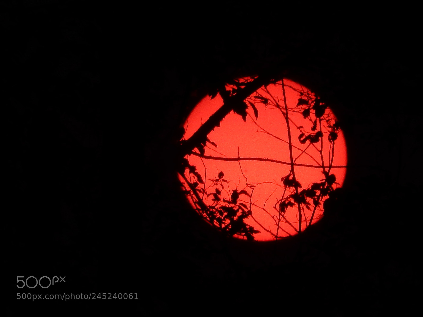 Nikon Coolpix S9900 sample photo. Red sun photography