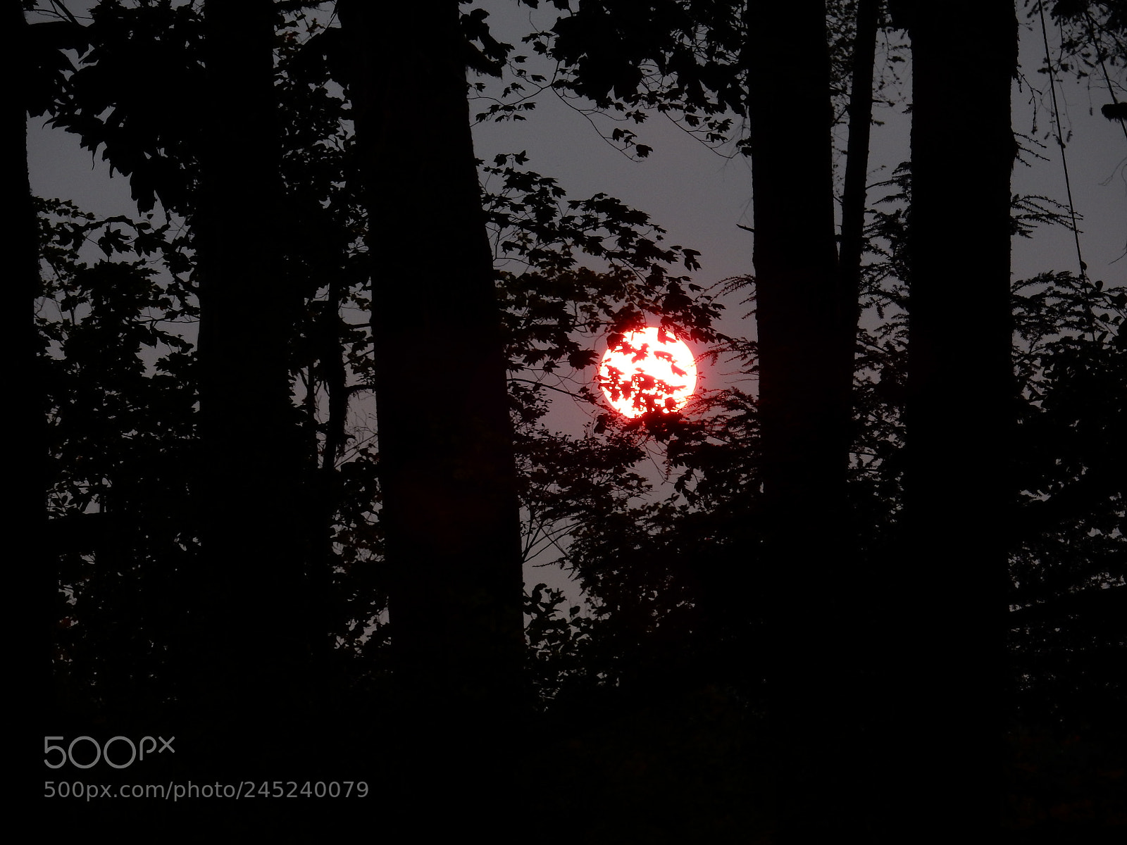 Nikon Coolpix S9900 sample photo. Red sun photography