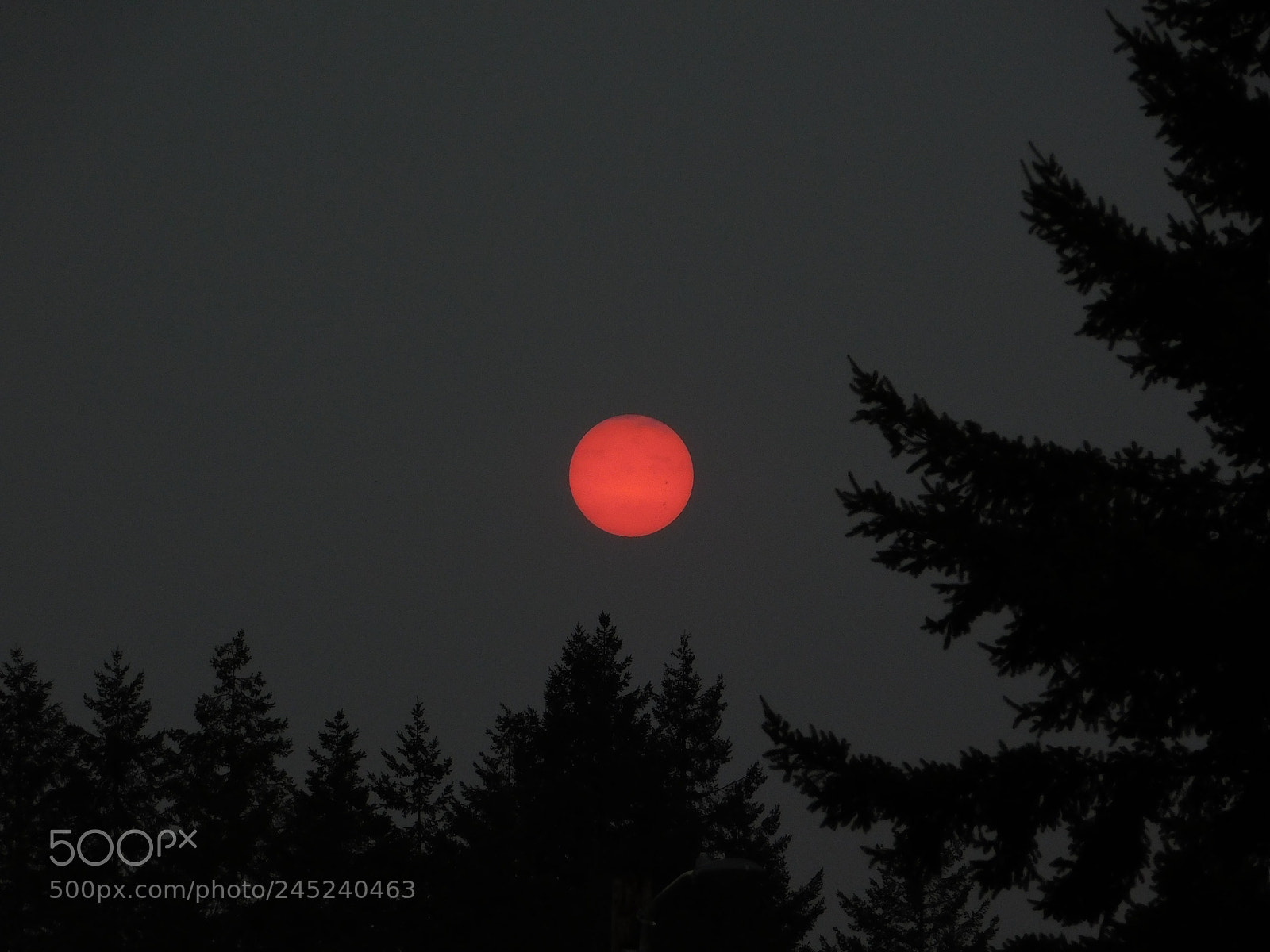 Nikon Coolpix B500 sample photo. Red sun photography