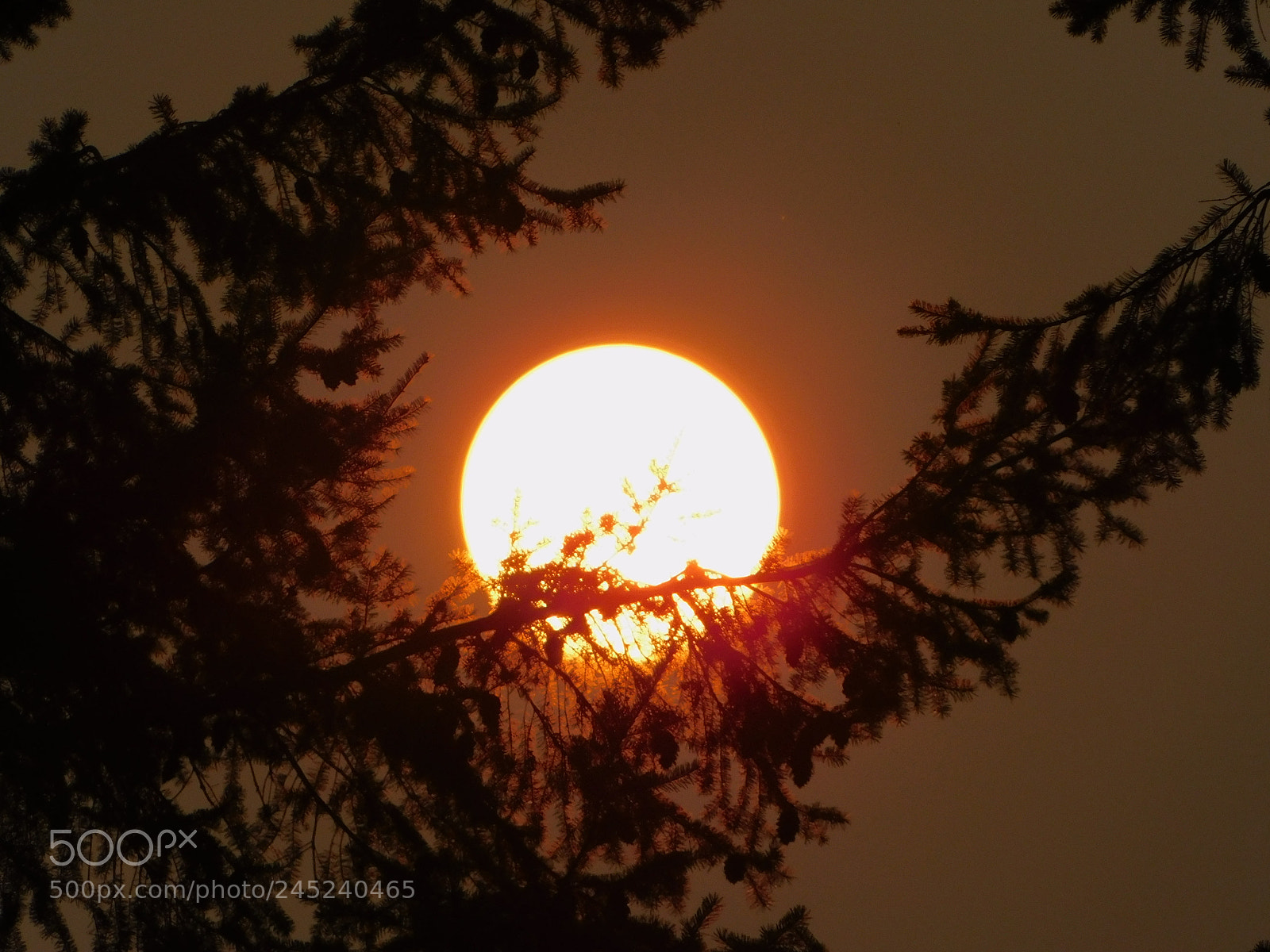 Nikon Coolpix B500 sample photo. Red sun photography