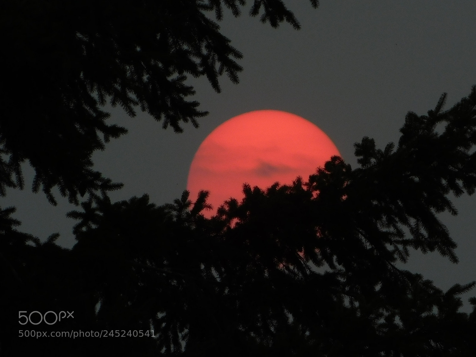 Nikon Coolpix B500 sample photo. Red sun photography