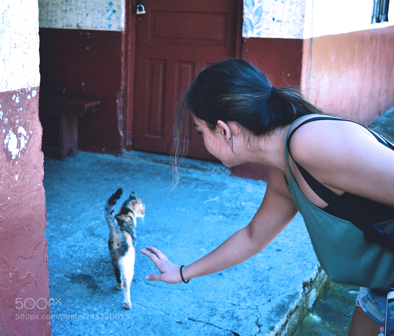 Nikon D3100 sample photo. Untitled photography