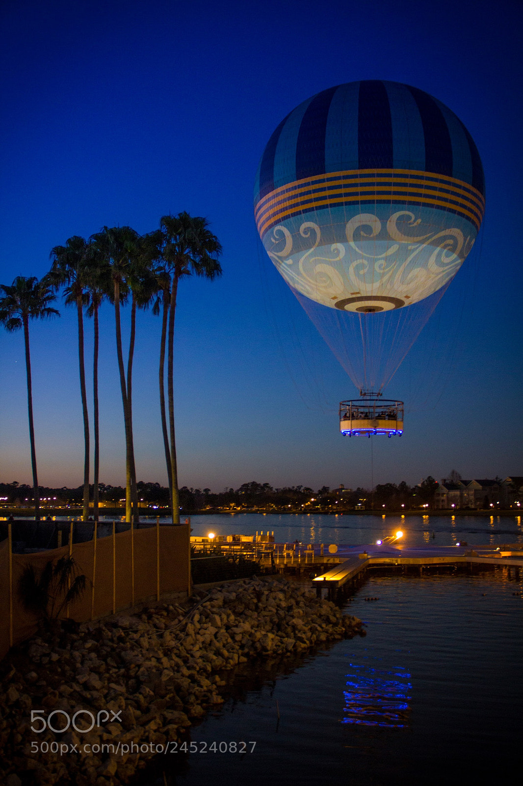 Canon EOS 60D sample photo. Palm & air photography