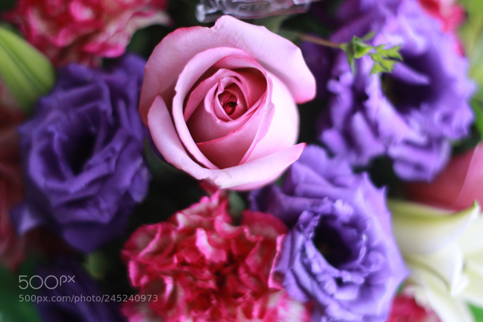 Canon EOS 70D + Canon EF 50mm F1.8 II sample photo. Birthday flowers photography