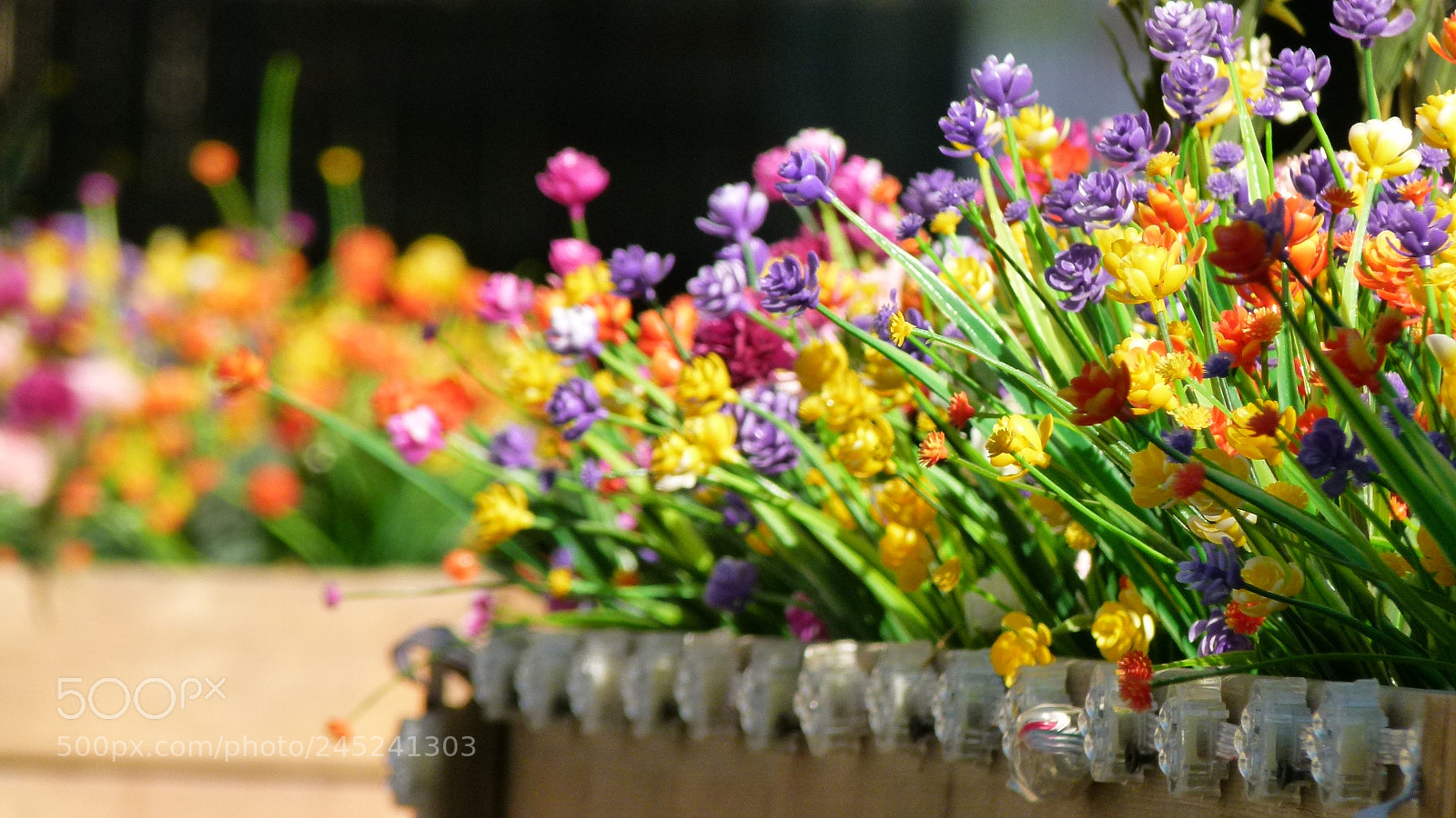 Leica V-Lux 2 sample photo. Untitled photography