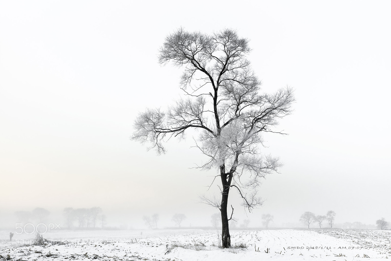 Canon EOS 5DS R sample photo. Cold morning photography