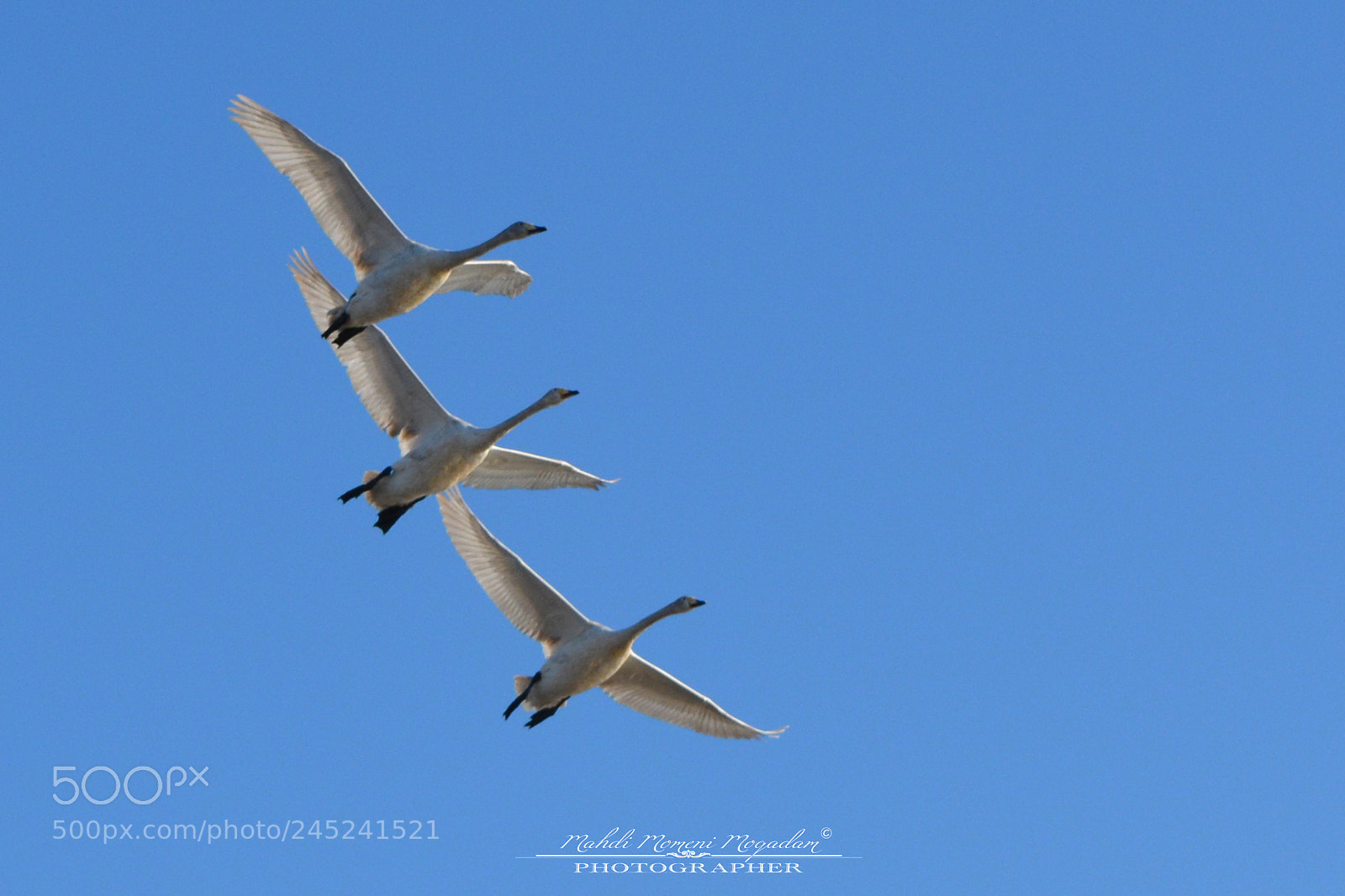 Nikon D5200 sample photo. Flight photography