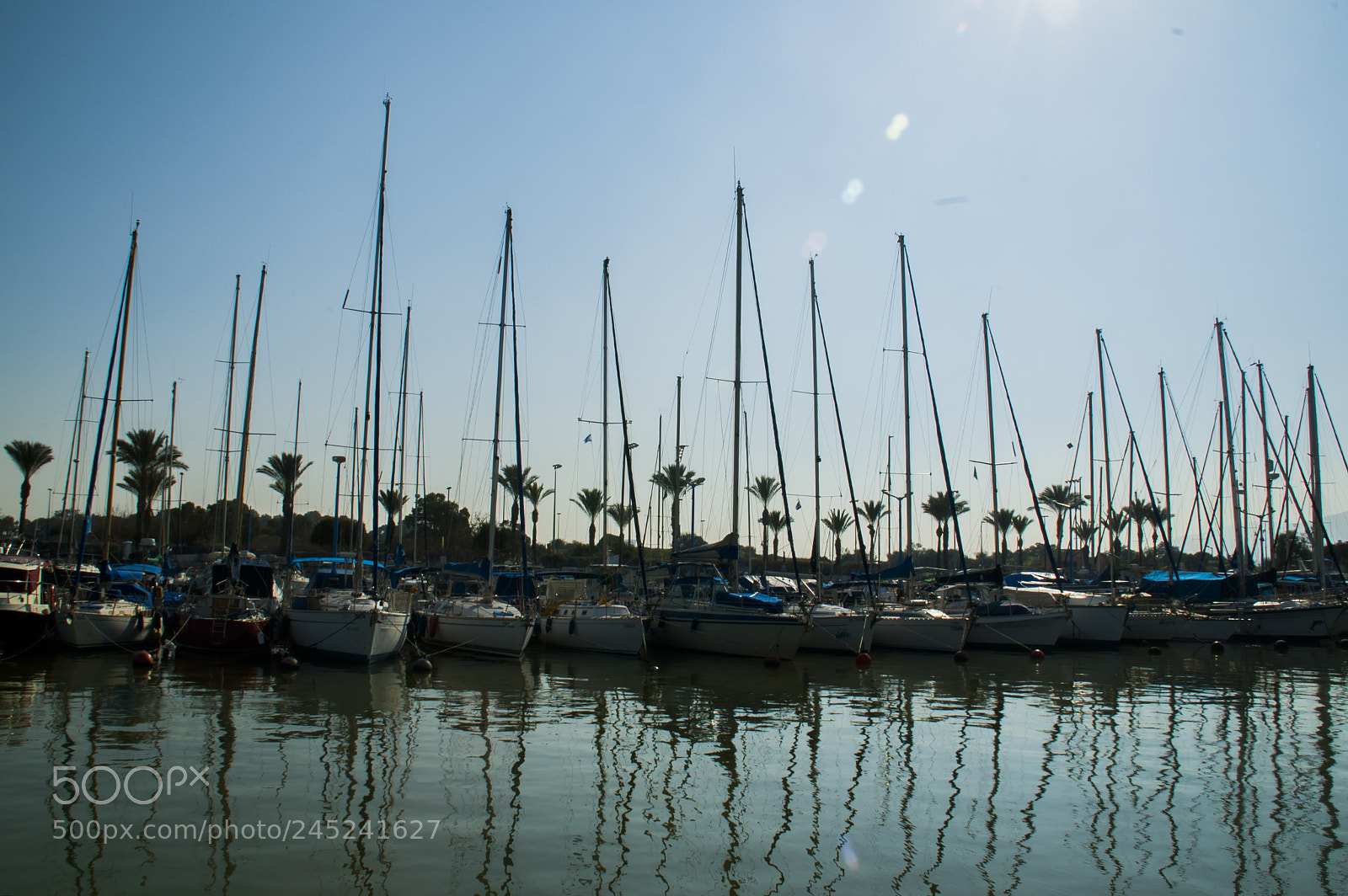 Nikon D50 sample photo. Yachts and masts photography