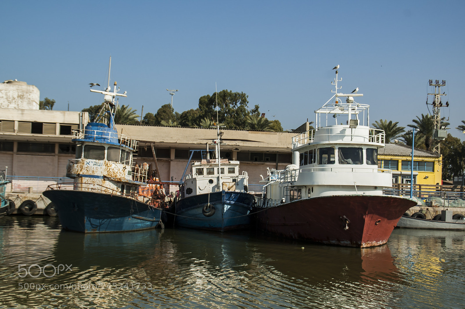 Nikon D50 sample photo. Boats trio photography