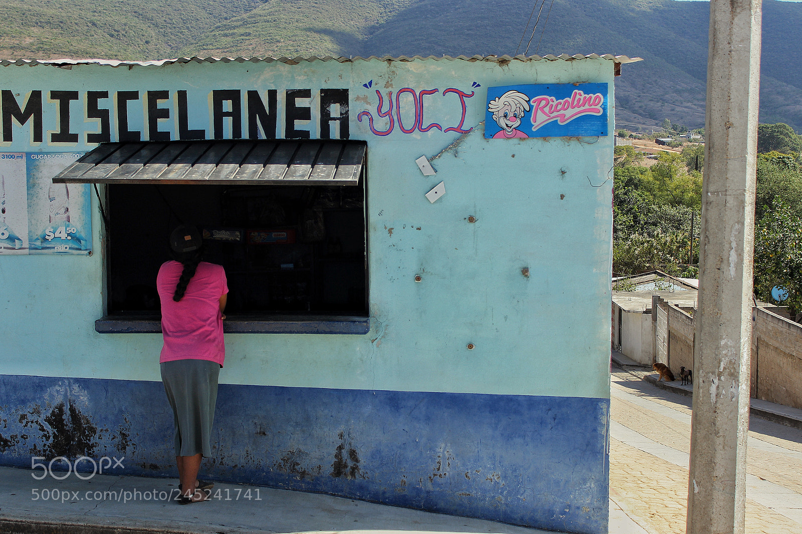 Canon EOS 600D (Rebel EOS T3i / EOS Kiss X5) sample photo. Unnecessary advertisements ii oaxaca photography